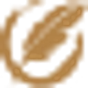 CHS