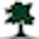 Green MGMT