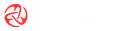 MicroVision